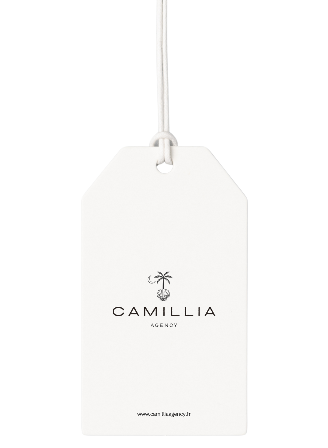 Site E-Commerce ++ Shopify + Logo + Formation + Packagings